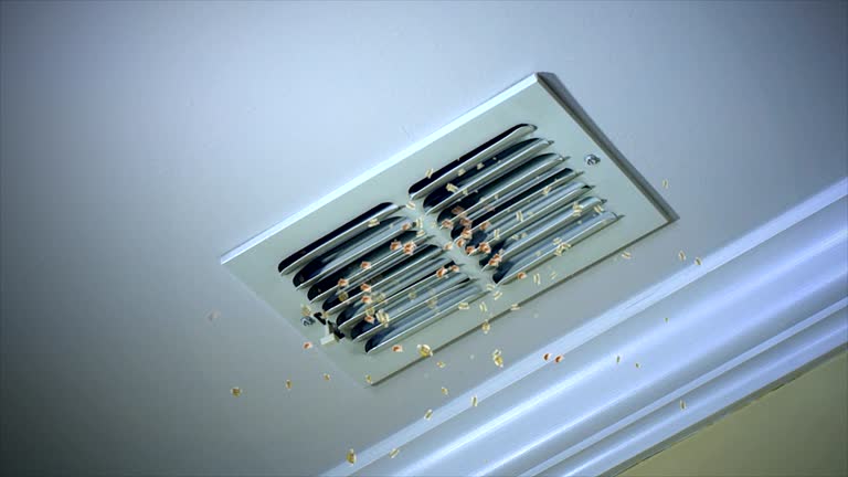 Best HVAC Duct Inspection Services  in Punta Gorda, FL