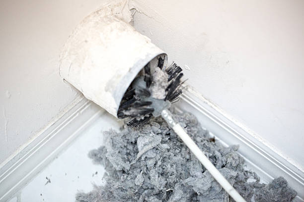 Best Home Air Vent Cleaning  in Punta Gorda, FL
